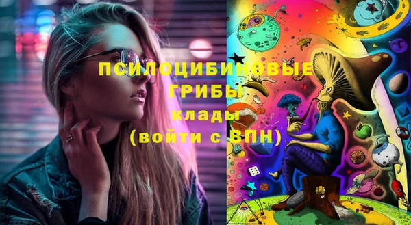 ПСИЛОЦИБИНОВЫЕ ГРИБЫ Беломорск