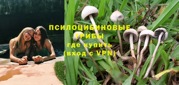 ПСИЛОЦИБИНОВЫЕ ГРИБЫ Беломорск