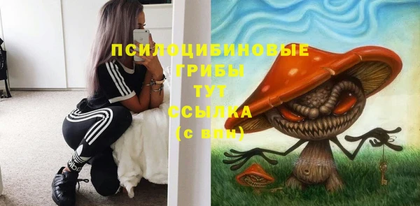 ПСИЛОЦИБИНОВЫЕ ГРИБЫ Беломорск